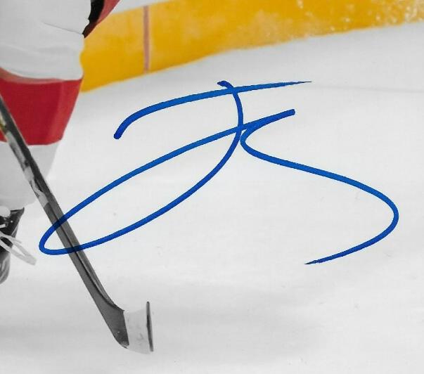 Signed Jonatan Berggren Detroit Red Wings 8x10 Photo #1 Original