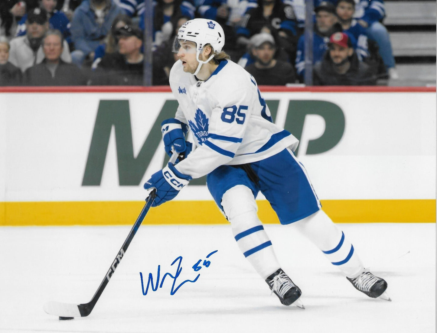 Signed William Lagesson Toronto Maple Leafs 8x10 Photo #2 AHL Marlies Original