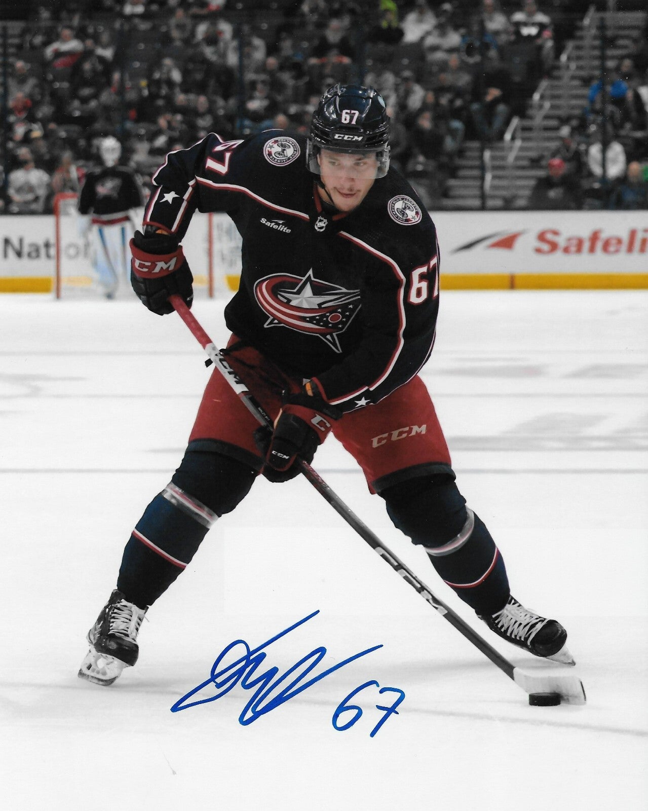 Signed James Malatesta Columbus Blue Jackets Autographed 8x10 Photo #4 Original