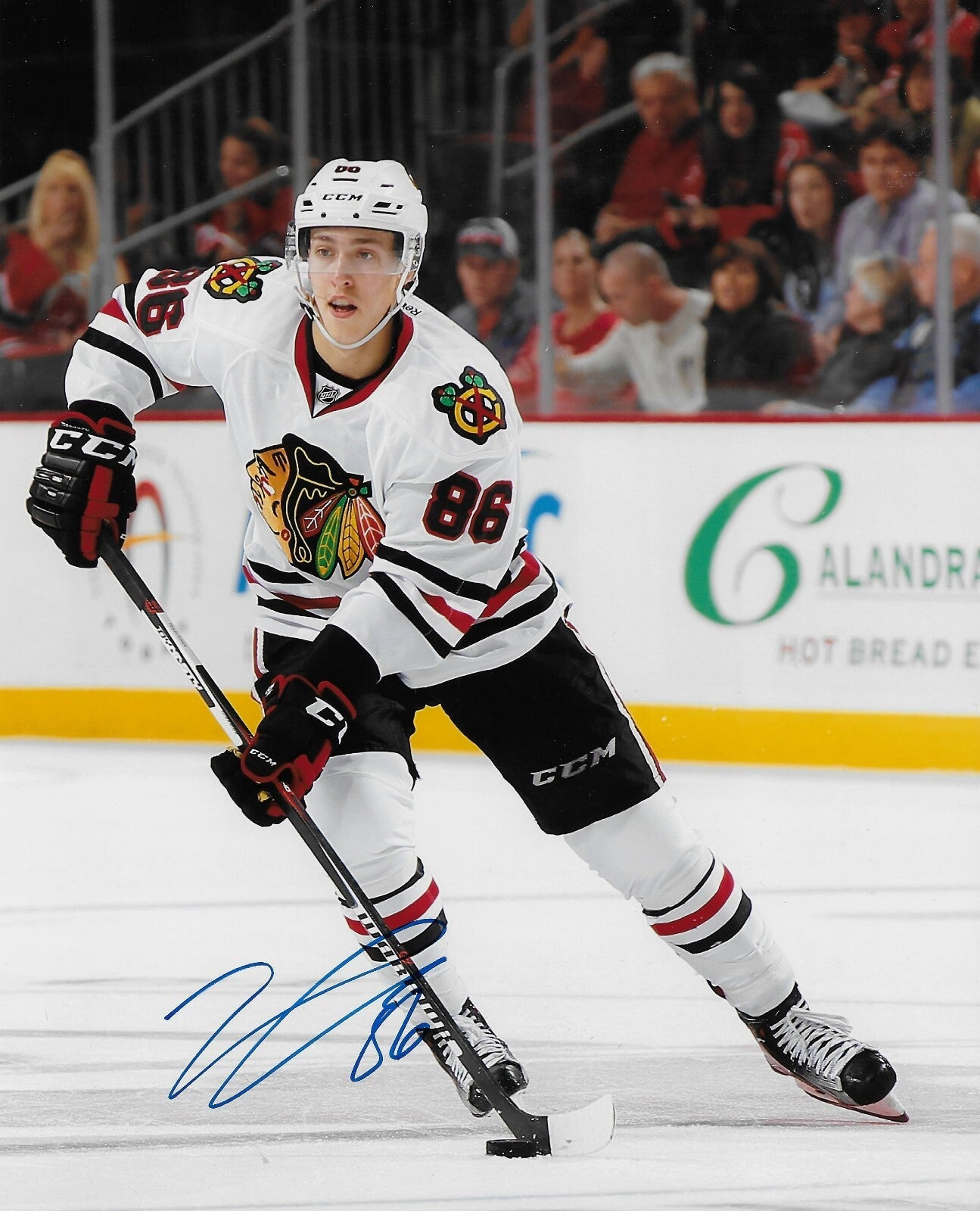 Signed Teuvo Teravainen Chicago Blackhawks Autographed 8x10 Photo #4 Original