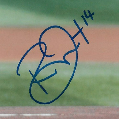 Signed Renata Fast PWHL Toronto Sceptres Autographed 8x10 Photo #15 Original