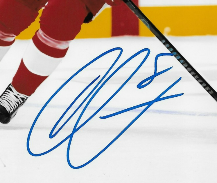 Signed Ben Chiarot Detroit Red Wings Autographed 8x10 Photo #1 Original