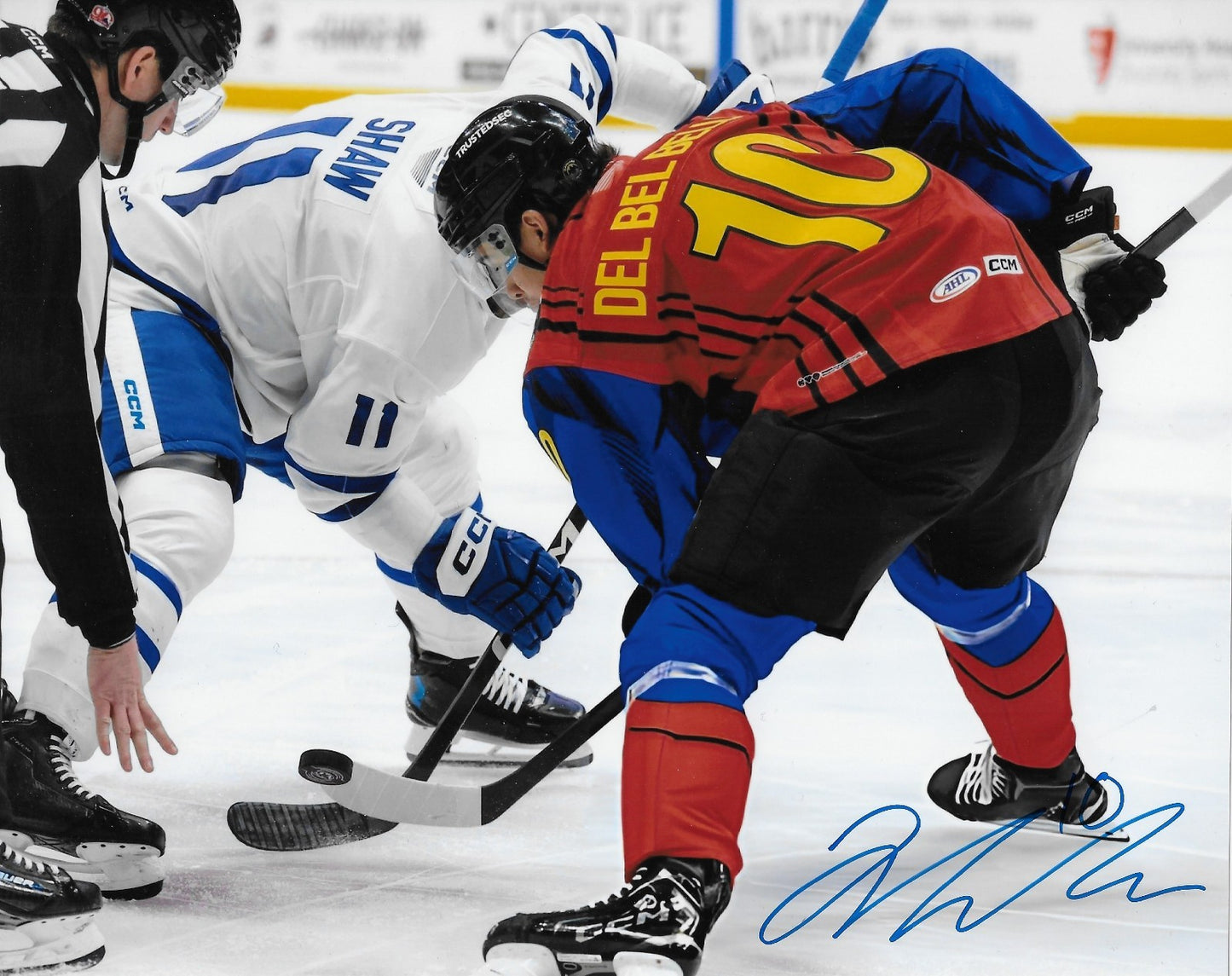 Signed Luca Del Bel Belluz Columbus Blue Jackets 8x10 Photo #4 Original