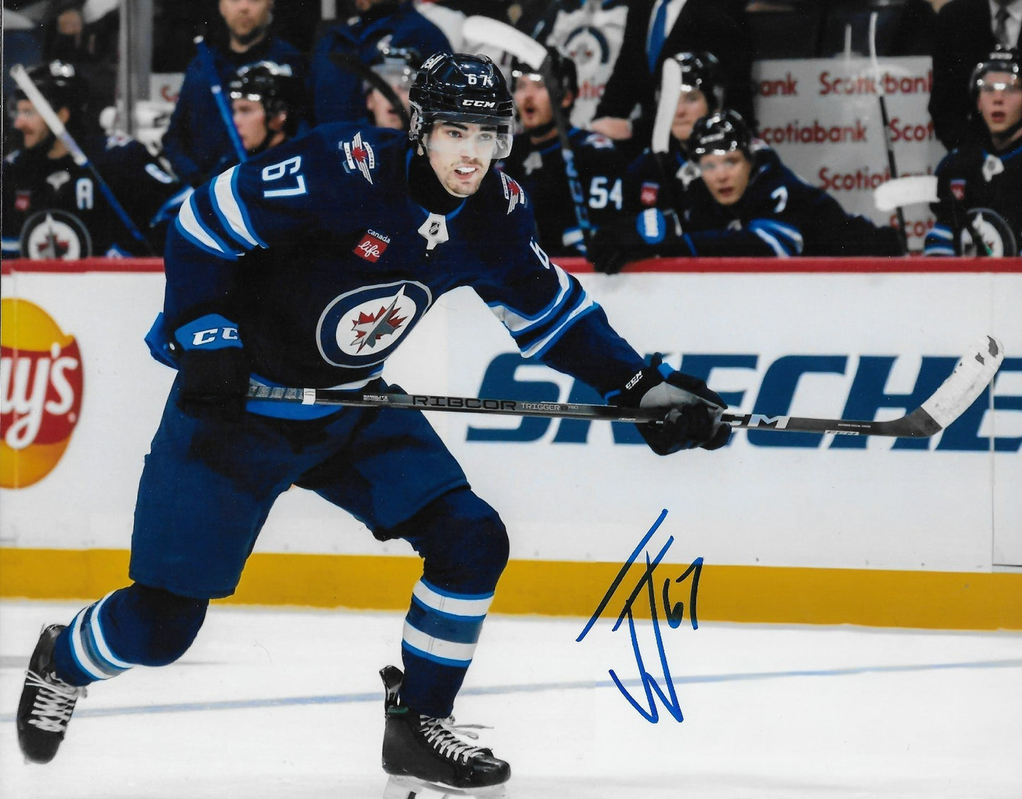 Signed Jacob Julien Winnipeg Jets Manitoba Moose 8x10 Photo #1 Original