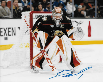 Signed Lukas Dostal Anaheim Ducks Autographed 8x10 Photo #1 Original