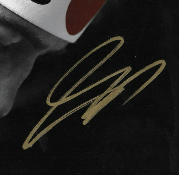 Signed Georges St Pierre UFC Autographed 8x10 Photo #2 with JSA Private Signing
