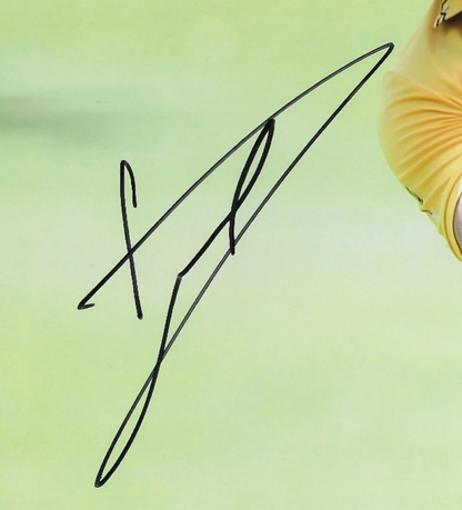 Signed Luke Donald PGA Golf Autographed 8x10 Photo #4 Original