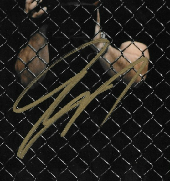 Signed Georges St Pierre UFC Last Fight 8x10 Photo #1 with JSA Private Signing