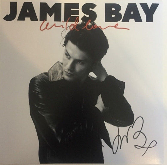 Photo 12x12 autographiée de James Bay 2