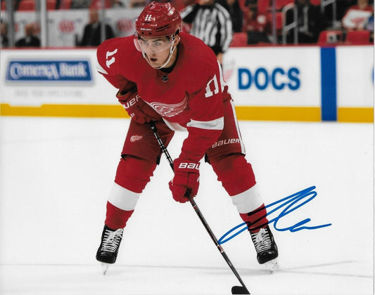 Autographed Detroit Red Wings Filip Zadina 8x10 Photo Original #2