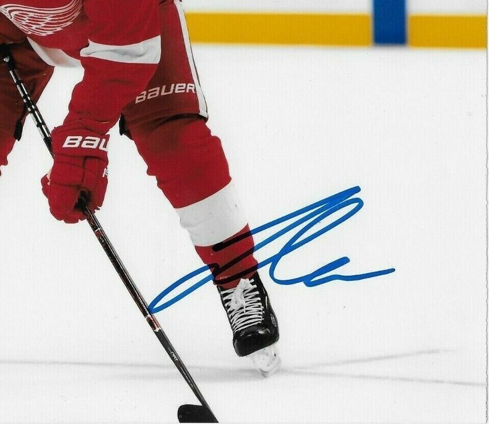 Photo autographiée de Filip Zadina des Red Wings de Détroit 8x10 originale n°2