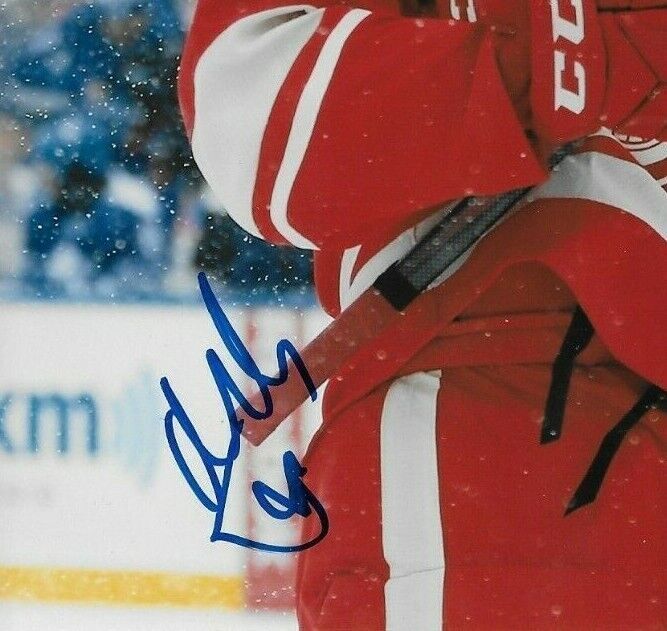 Photo autographiée de Niklas Kronwall des Red Wings de Detroit 8x10