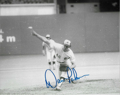 Autographed Montreal Expos Dave Palmer 8x10 Photo Original