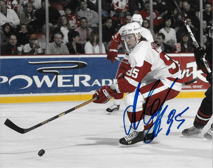 Autographed Detroit Red Wings Daniil Markov 8x10 Photo Original