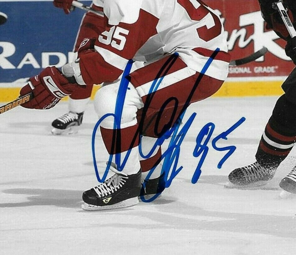 Autographed Detroit Red Wings Daniil Markov 8x10 Photo Original