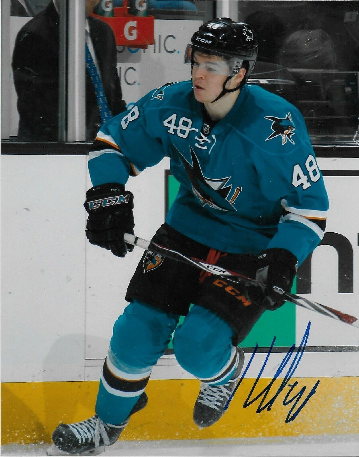 Autographed San Jose Sharks Tomas Hertl 8x10 Photo Original