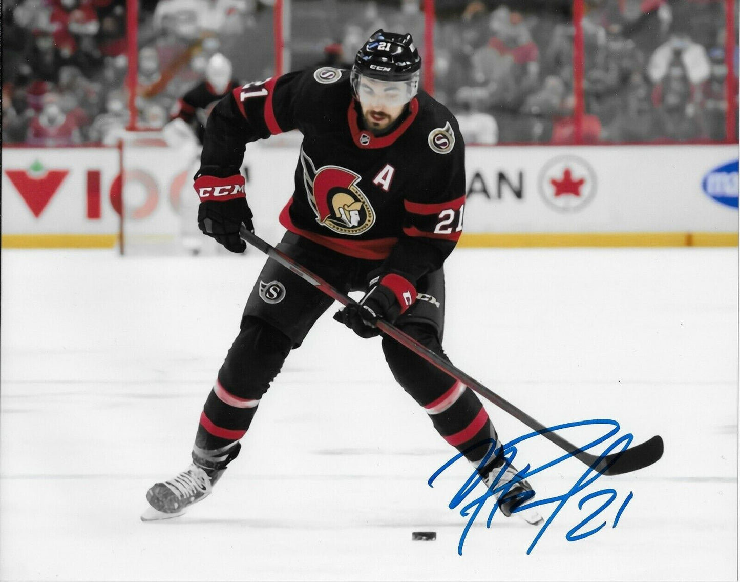 Autographed Ottawa Senators Nick Paul 8x10 Photo Original
