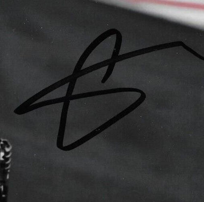 Photo 8x10 autographiée du pilote de Formule 1 Williams Sergey Sirotkin #5 Original
