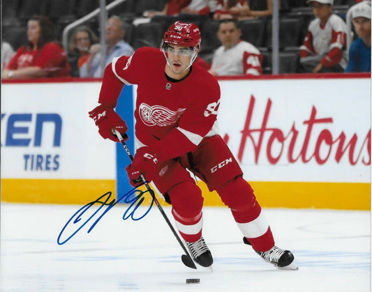 Photo 8x10 autographiée par Joe Veleno des Red Wings de Détroit #2