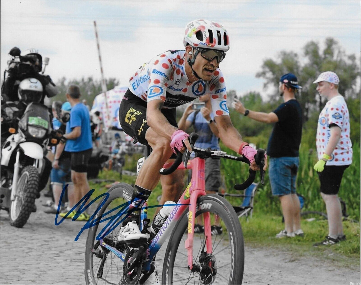 Autographed Cycling Magnus Cort UCI EF Education-Easy Post 8x10 Photo 6 Original