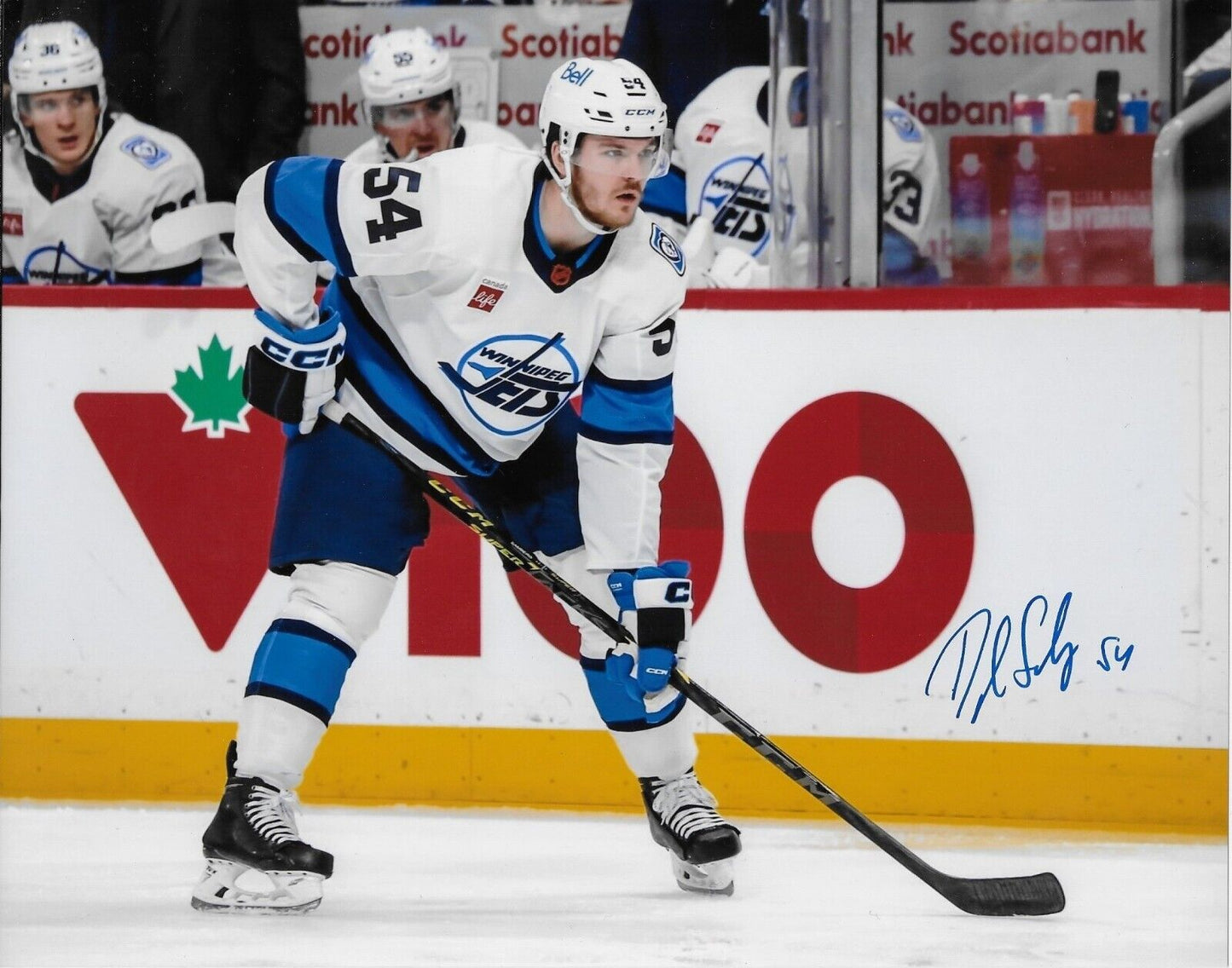 Autographed Winnipeg Jets Dylan Samberg Signed 8x10 Photo #3 Original