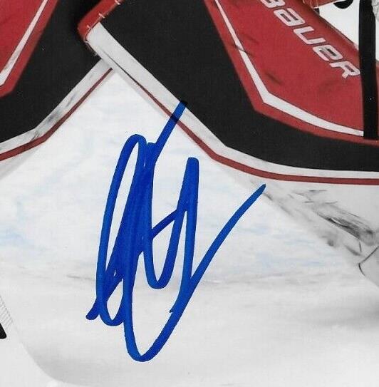 Autographed Ottawa Senators Kevin Mandolese Belleville Sens 8x10 Photo #1