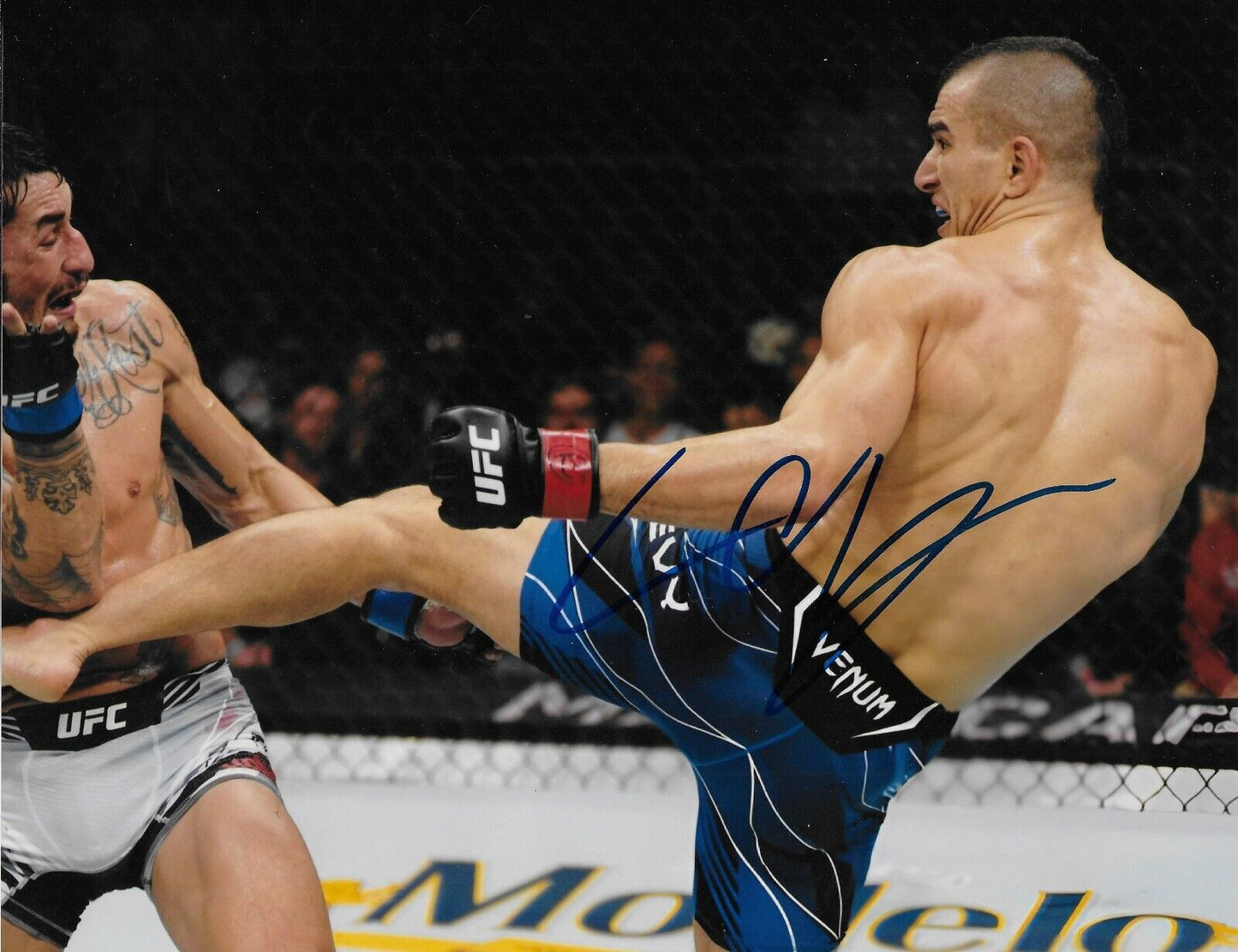 Signed Natan Levy UFC MMA Autographed 8x10 Photo #4 Original