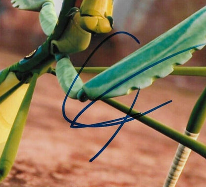 Signed Seth Rogen Kung Fu Panda Mantis Autographed 8x10 Photo #2 Original