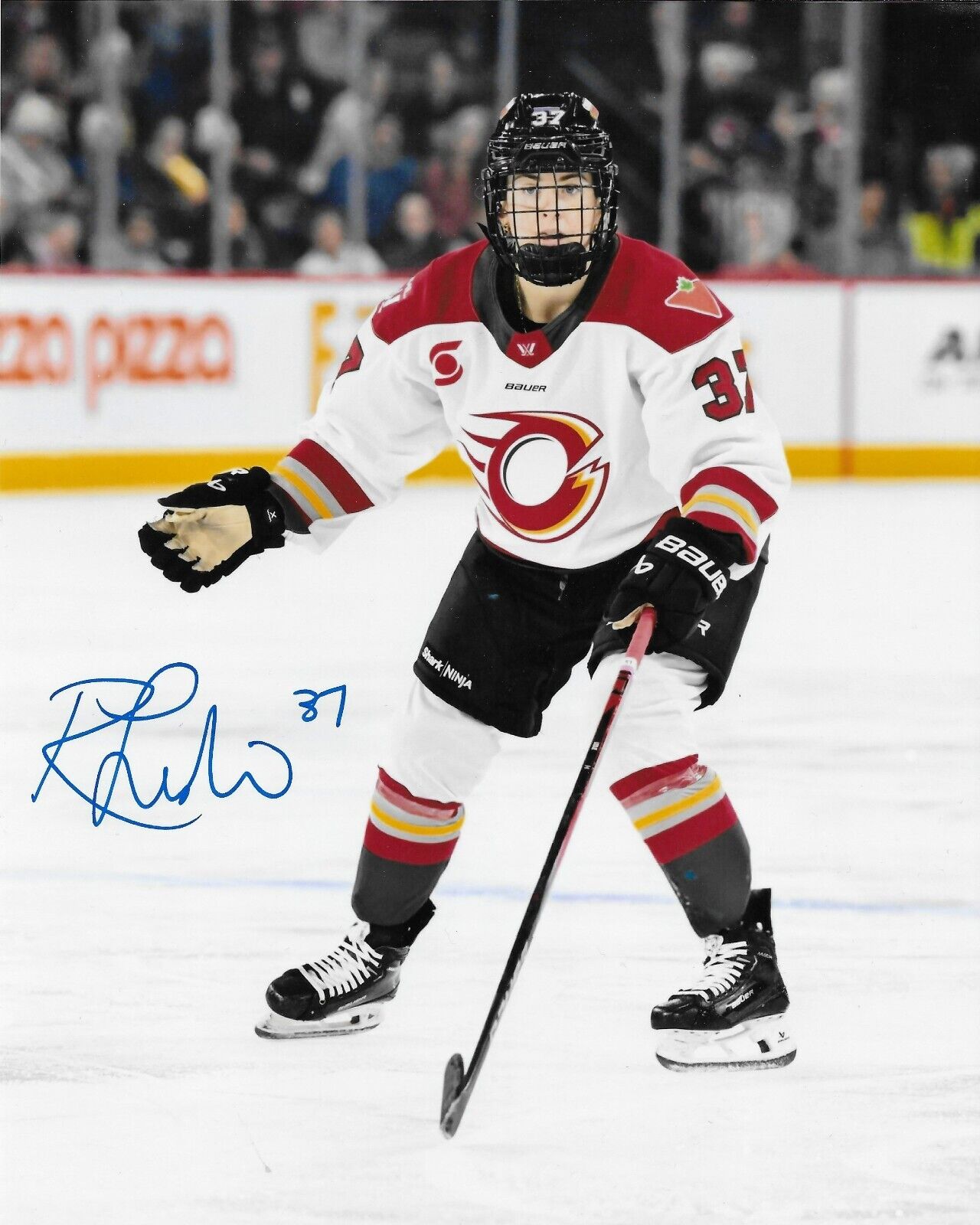 Signed Rebecca Leslie PWHL Ottawa Charge Autographed 8x10 Photo #1 Original