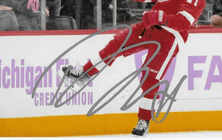 Signed Dylan Larkin Detroit Red Wings 8x10 Photo #1 Original JSA Authentication