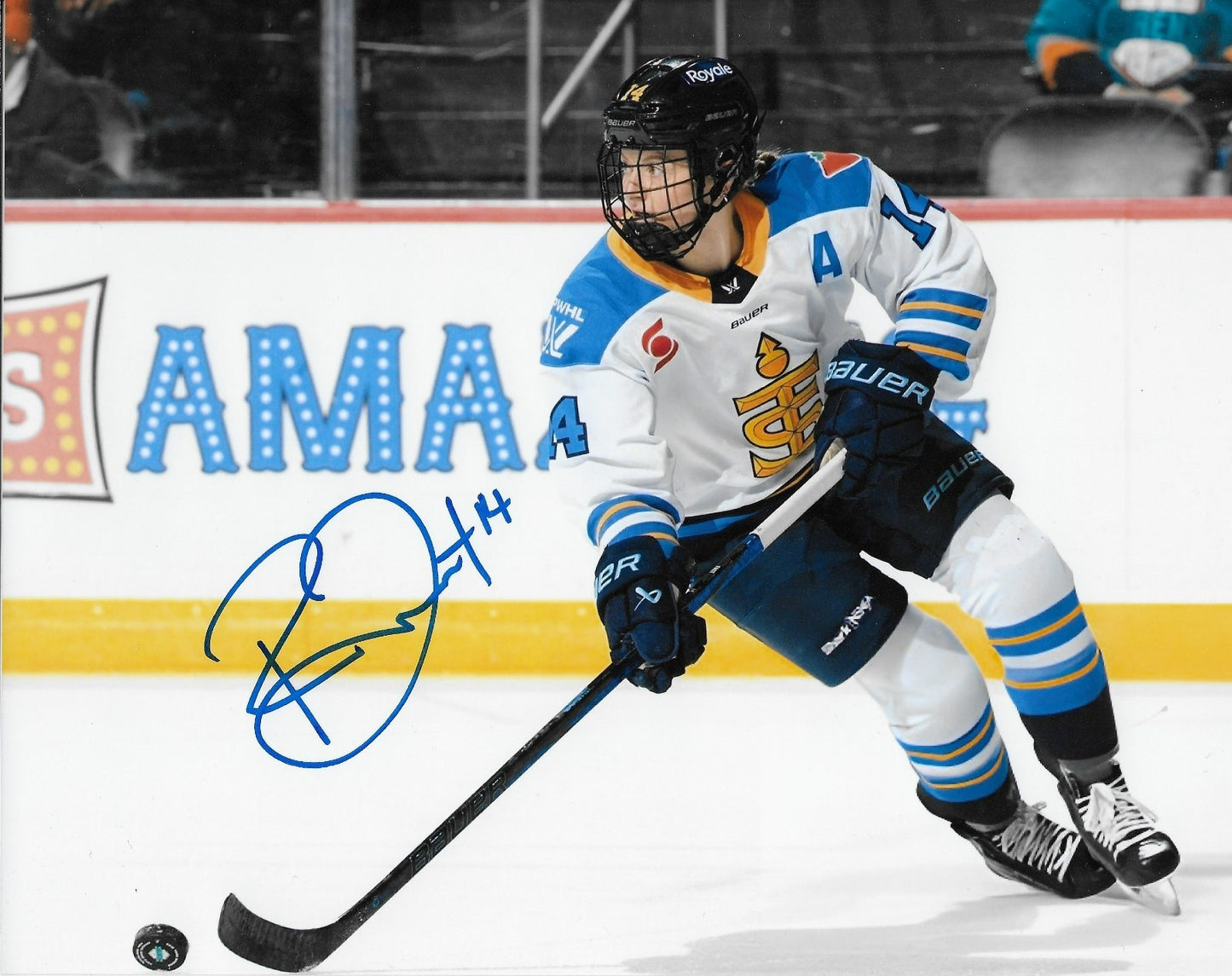 Signed Renata Fast PWHL Toronto Sceptres Autographed 8x10 Photo #13 Original
