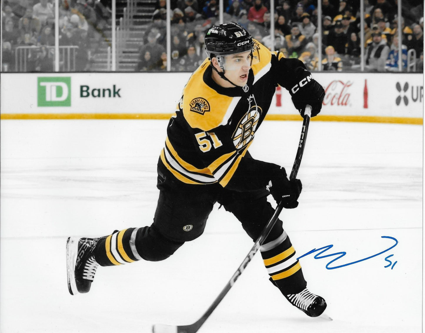 Signed Matthew Poitras Boston Bruins Autographed 8x10 Photo #1 Original