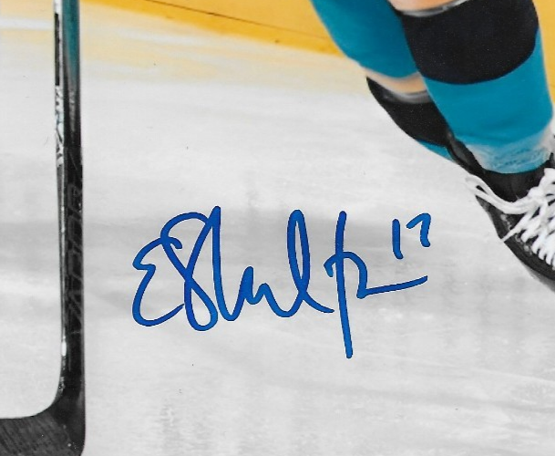 Signed Ella Shelton New York Sirens PWHL Hockey 8x10 Photo #1 Original