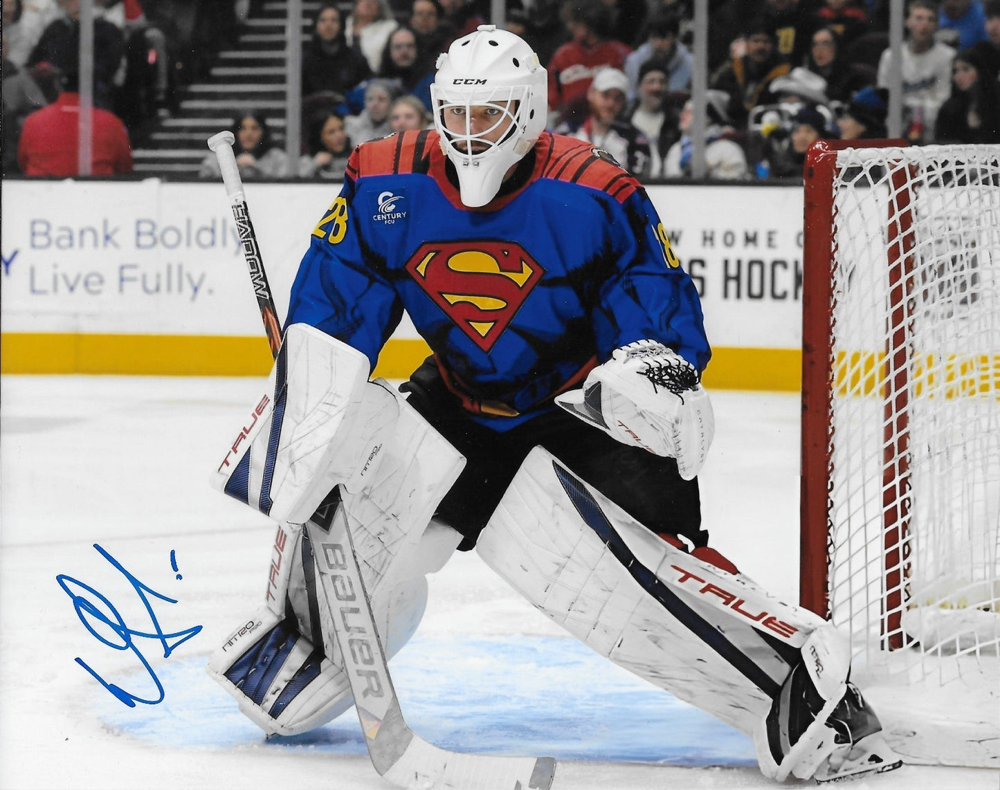 Signed Ivan Fedotov Columbus Blue Jackets Autographed 8x10 Photo #2 Original