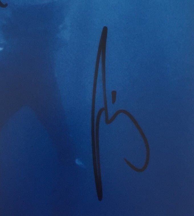 Poulains autographiés signés Total Life Forever 12x12 PHOTO Originale