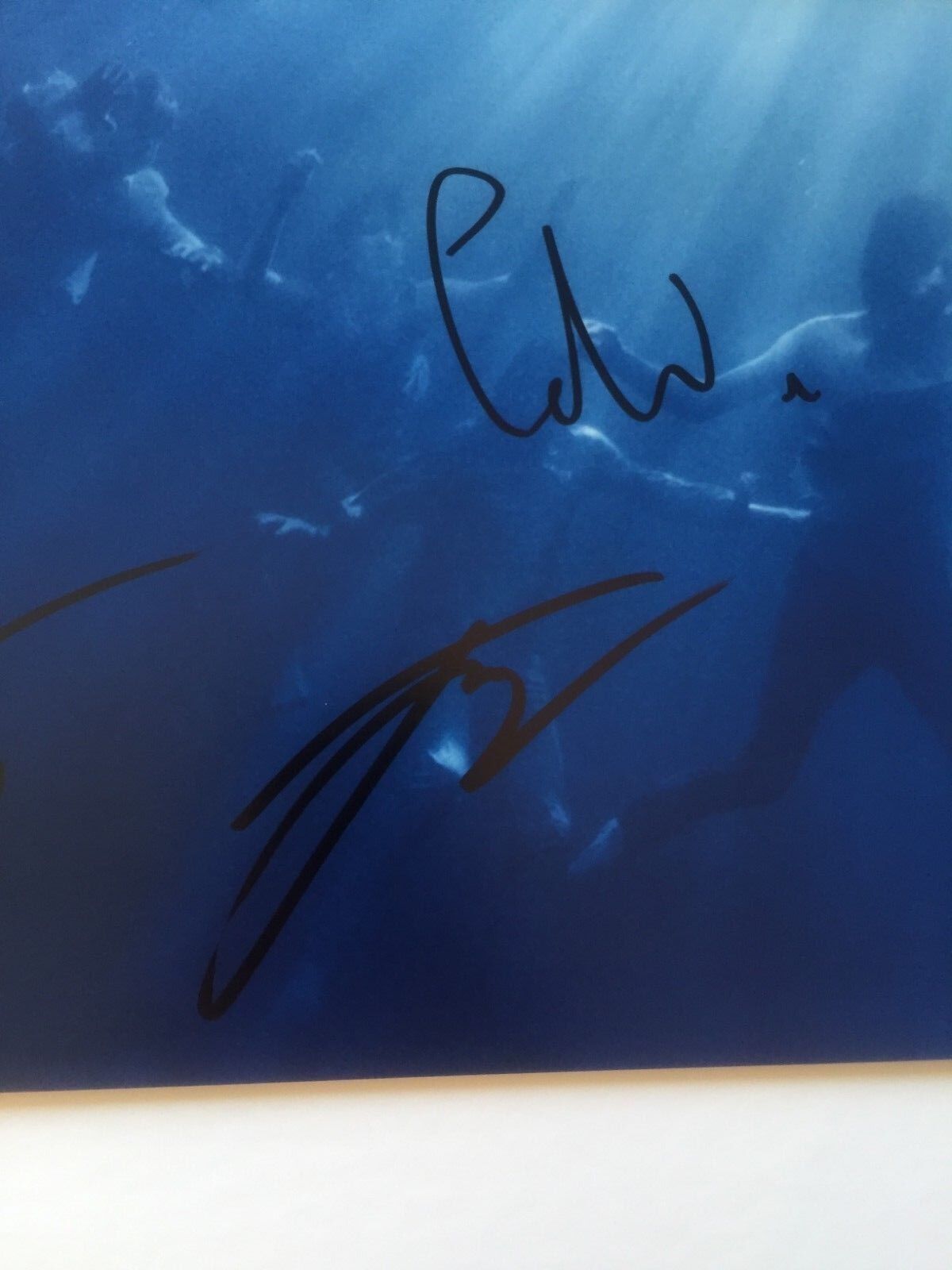 Poulains autographiés signés Total Life Forever 12x12 PHOTO Originale