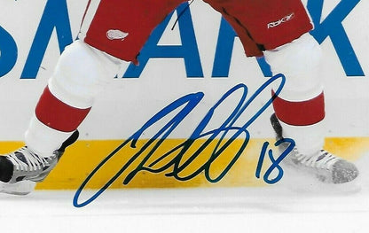 Photo autographiée de Ian White des Red Wings de Detroit 8x10 originale