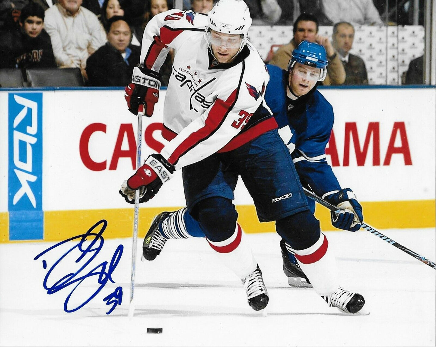 Photo autographiée 8x10 signée David Steckel des Capitals de Washington #2