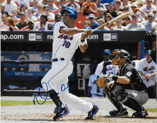 Signed  Moises Alou NY New York Mets Autographed 8x10 Photo #1 Original