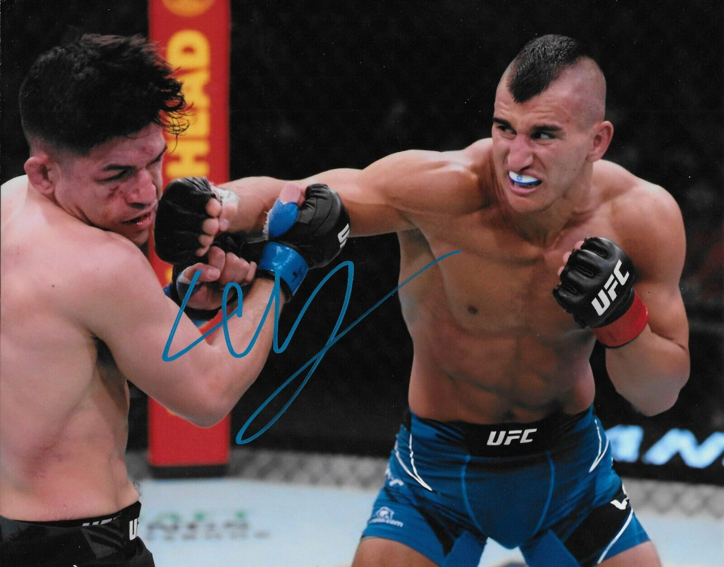 Photo autographiée 8x10 de Natan Levy UFC MMA n°6 originale