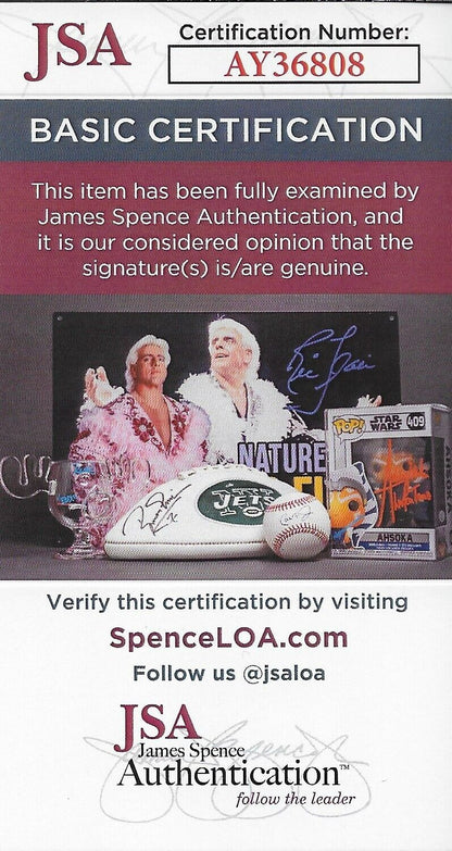 Photo originale signée Jannik Sinner ATP Tennis 8x10 #2 avec authentification JSA