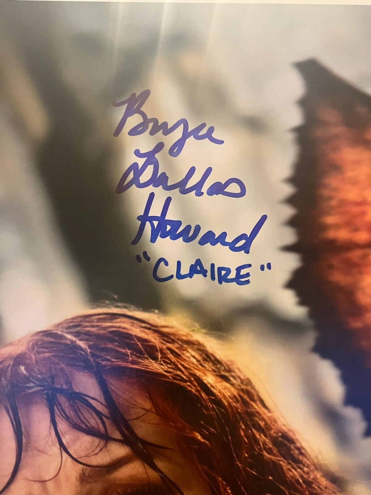 Signed Bryce Dallas Howard Jurassic Park World 12x18 Photo Actress JSA