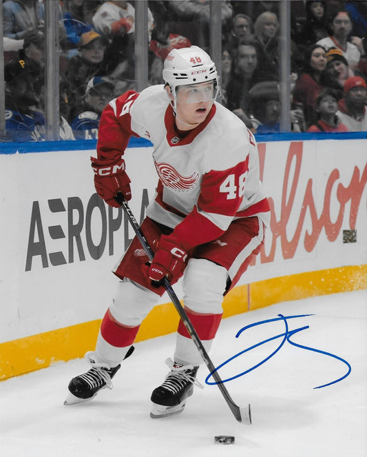 Signed Jonatan Berggren Detroit Red Wings 8x10 Photo #1 Original