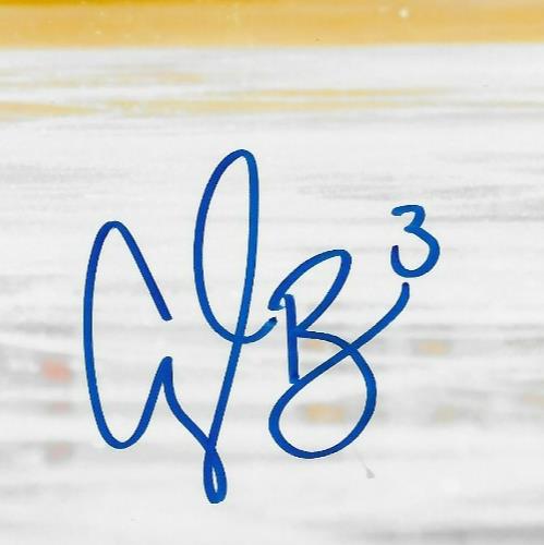 Signed Cayla Barnes Montreal Victoire  PWHL Hockey 8x10 Photo #2 Original