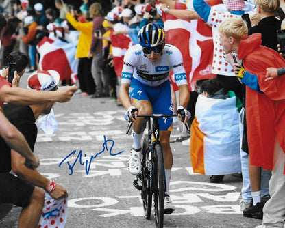 Signed Cycling Florian Lipowitz UCI Team Red Bull–BORA–Hansgrohe 8x10 Photo #3