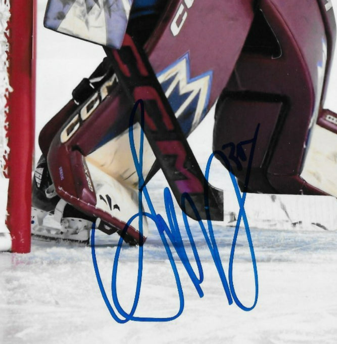 Signed Ann Renee Desbiens PWHL Montreal Victoire 8x10 Photo #1 Original