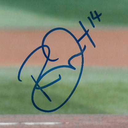 Signed Renata Fast PWHL Toronto Sceptres Autographed 8x10 Photo #15 Original