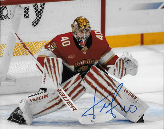 Signed Danill Tarasov Florida Panthers OAutographed 8x10 Photo #2 Original