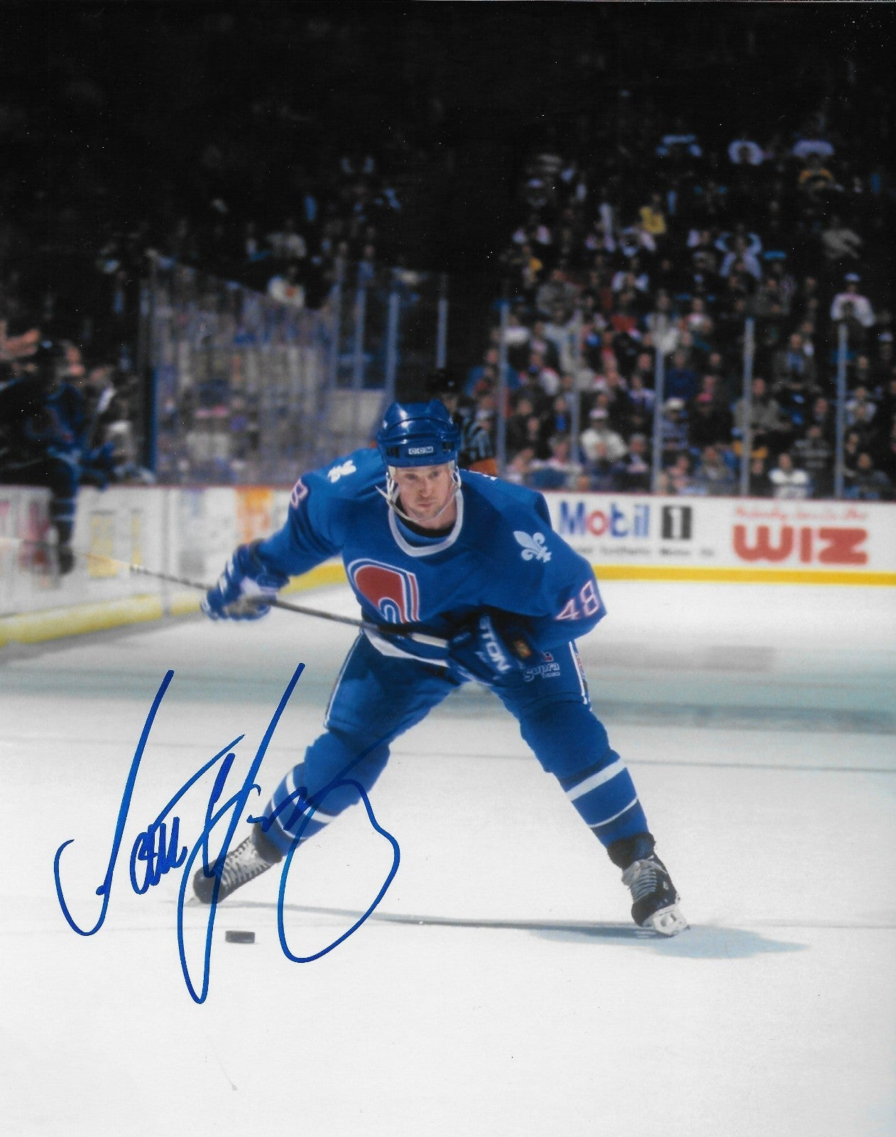 Signed Scott Young Quebec Nordiqies  Autographed 8x10 Photo #2 Original